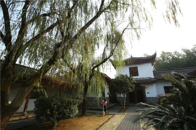 继承左公精神,建设绿色湖湘