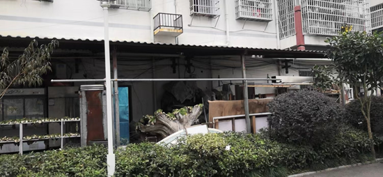 张福顺、覃二建.png