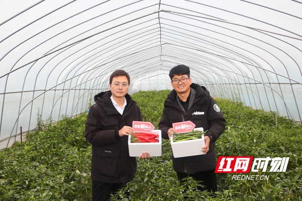 ▲农业需要与现代化工业相结合，是王传宝、李亭这两位“90后”返乡大学生的共识。 刘舟 摄.jpg
