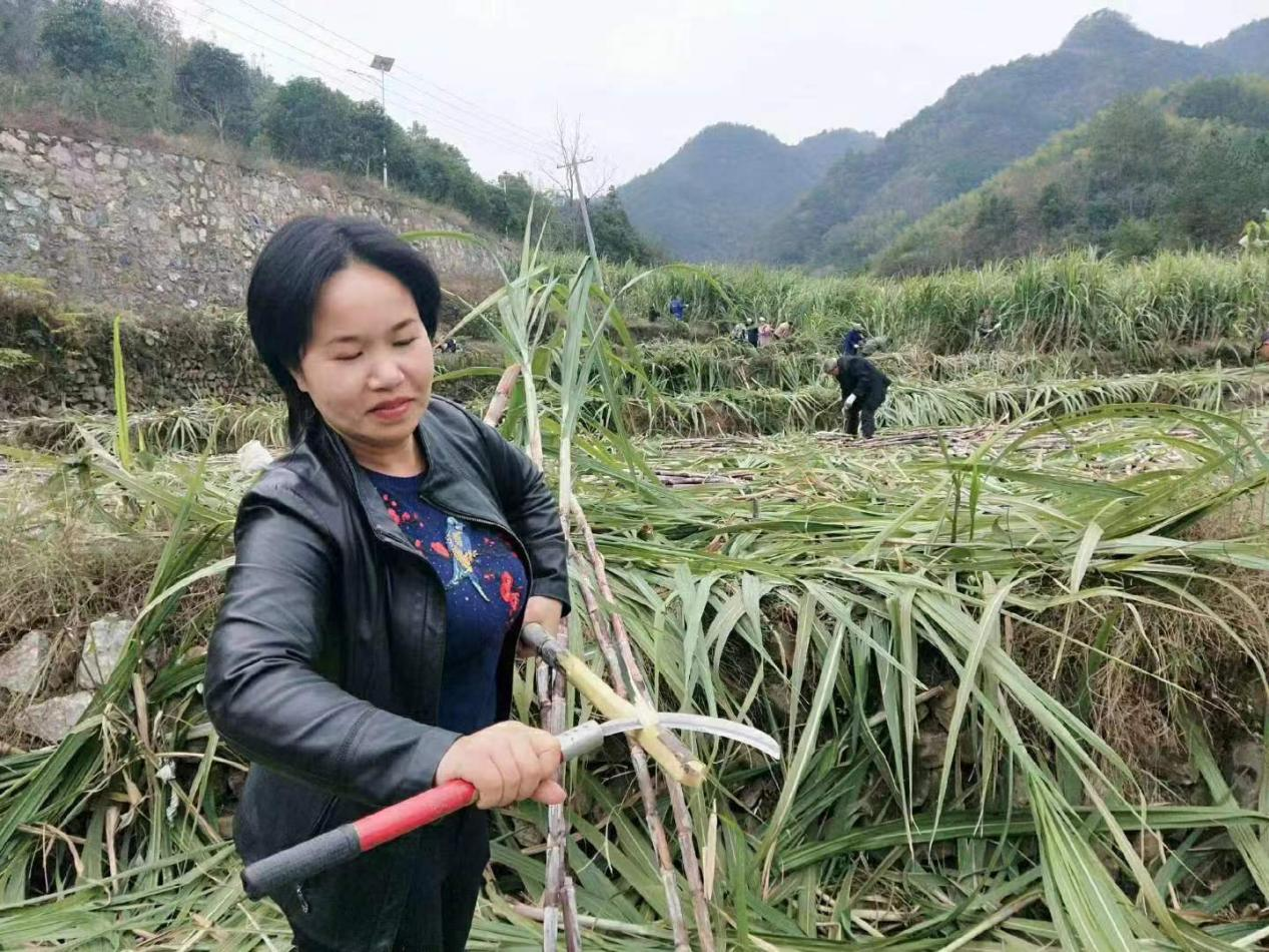 图片3.png