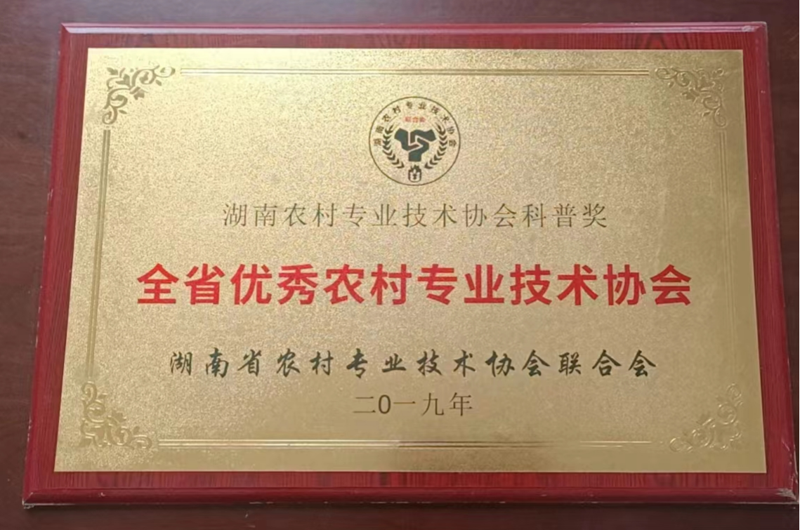 图片6.png