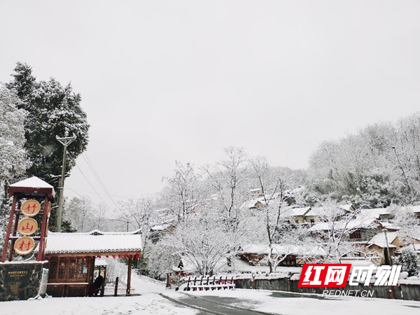 图片8.jpg
