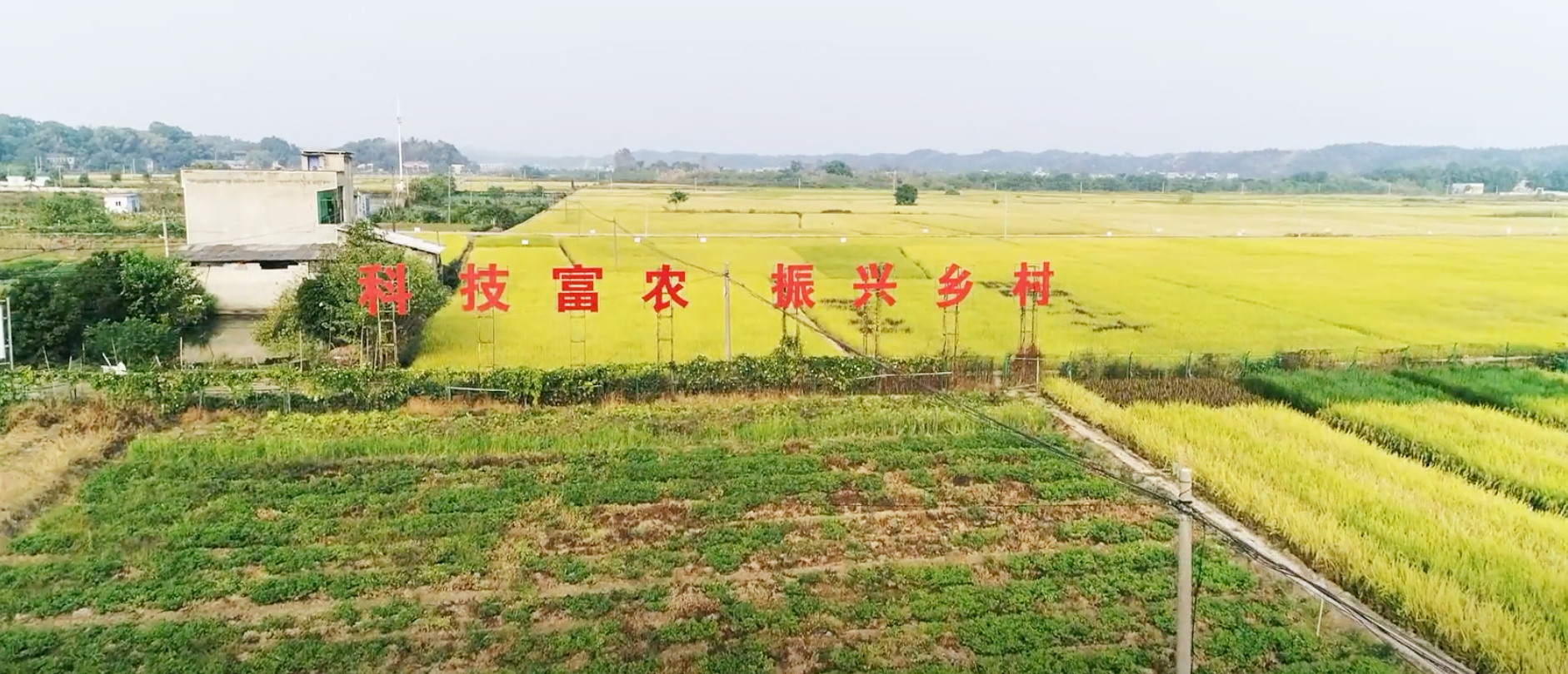 图片8.png