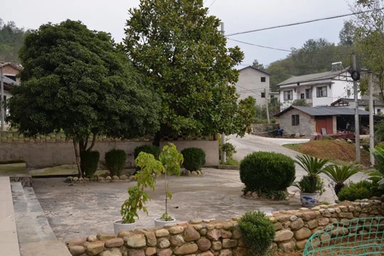 1573566246_f78266131ce98394d9bd3d946099a3a6.jpeg 1573566246_f78266131ce98394d9bd3d946099a3a6.jpeg