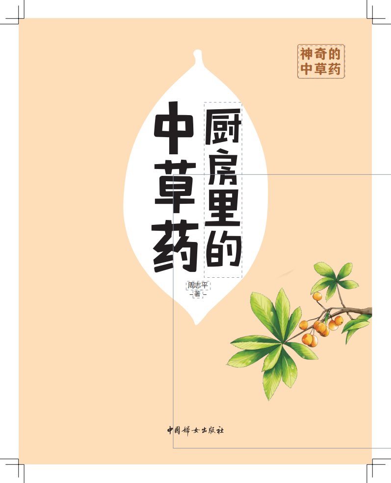 厨房中的中草药 0803_00.png