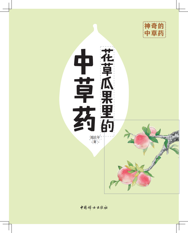 花草瓜果里的中草药0803_00.png