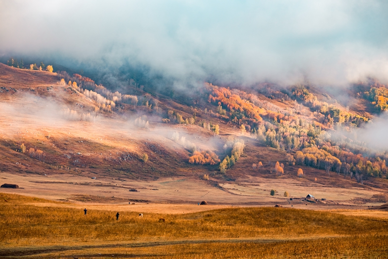 新疆禾木村海的云风光_副本.jpg 新疆禾木村海的云风光_副本.jpg