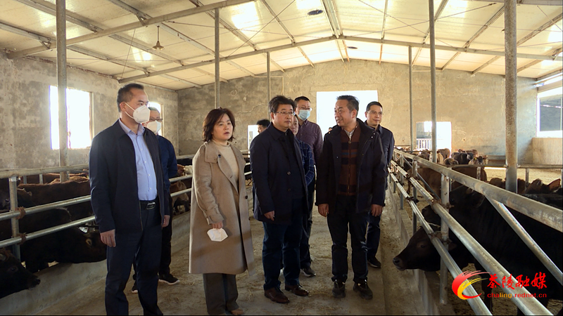 Still0110_00001.bmp Still0110_00001.bmp