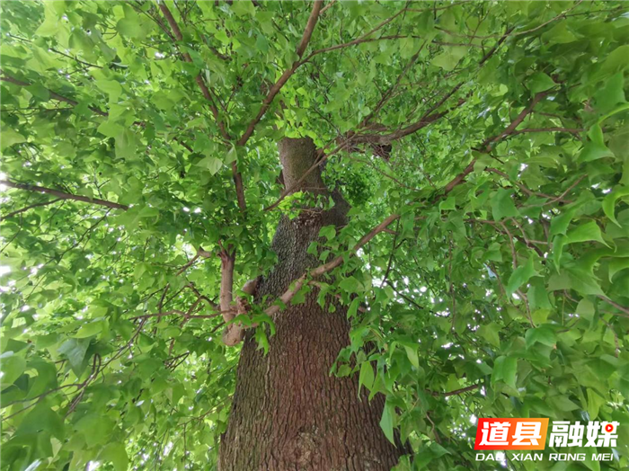 道县红色印记 红色遗址⑦：红六军团深挖红军井01.png