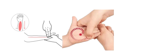 13.png
