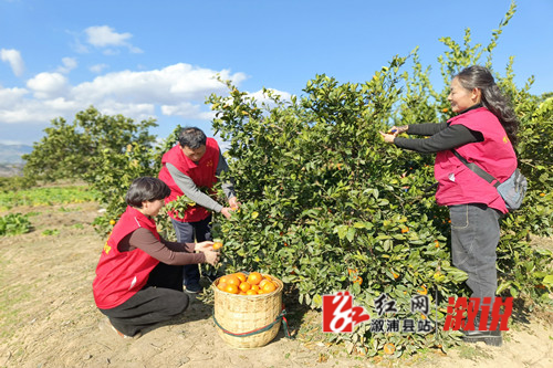 8f7fb4dfffca0f98d1c81fc62c3fd74_副本.jpg
