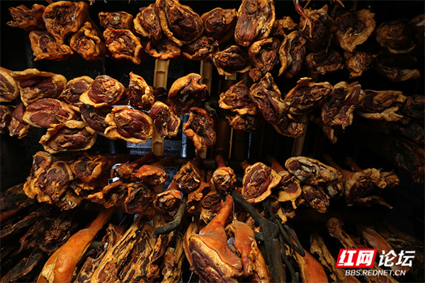 073101nrjkx2c62gr4c44j.jpg 073101nrjkx2c62gr4c44j.jpg