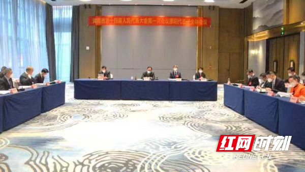 省十四届人大一次会议邵阳代表团继续审议政府工作报告