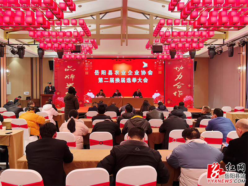 大会现场2_副本.jpg