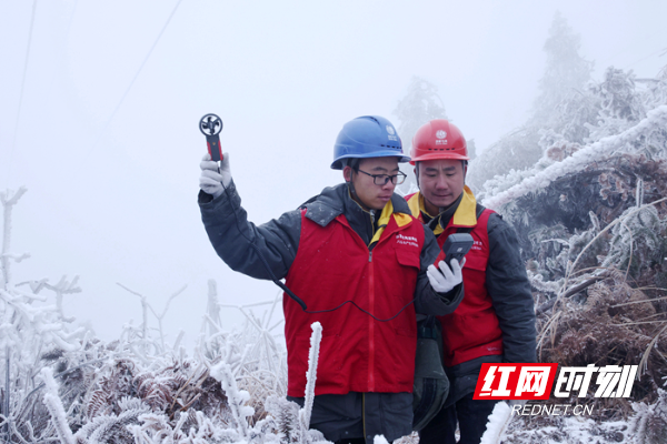 小沙江供电所观测配网覆冰情况9_副本.jpg