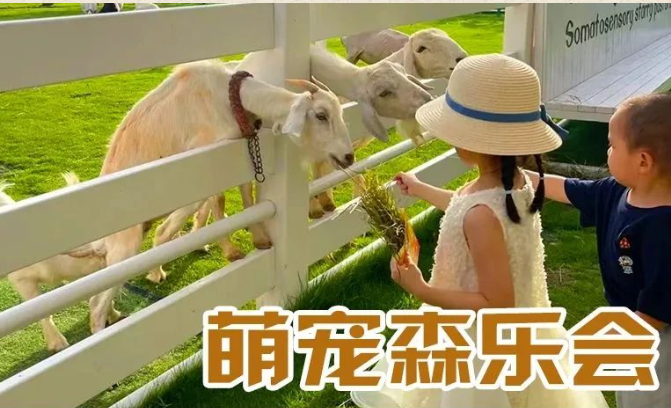 微信图片_20230117165630.png
