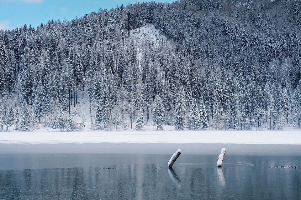 winter-7685665_960_720.jpg