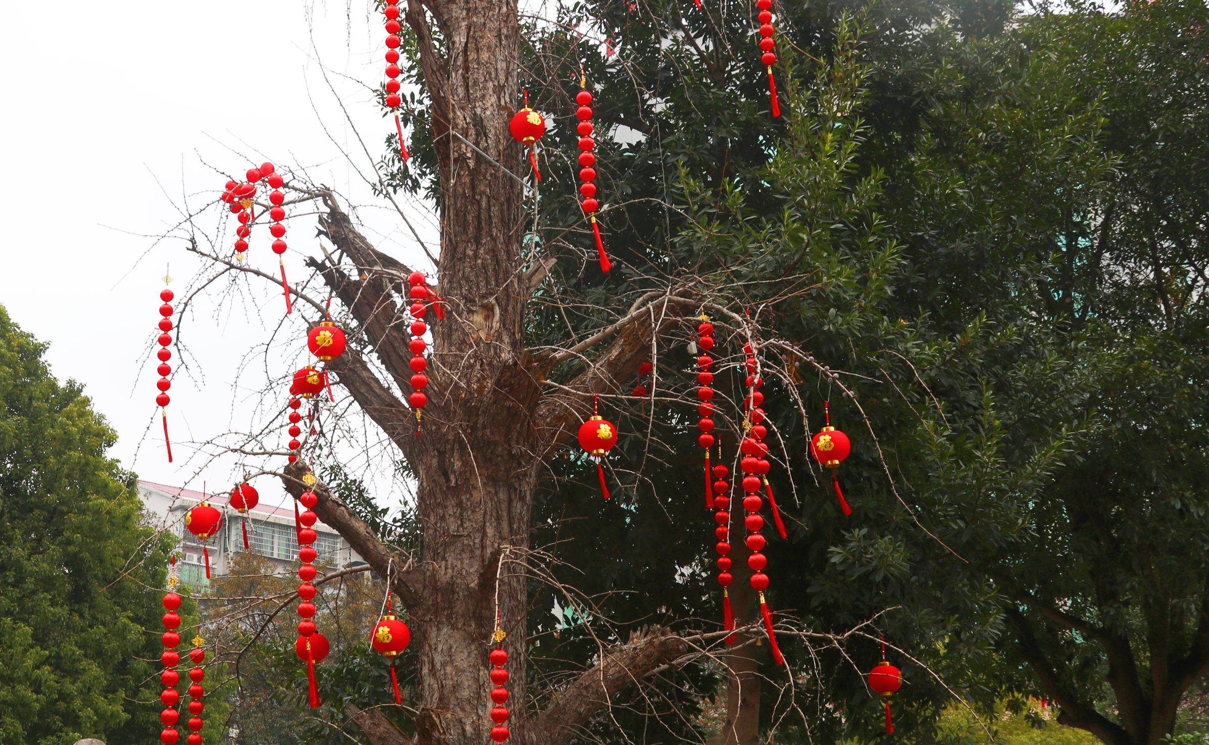 微信图片_20230120132240.jpg