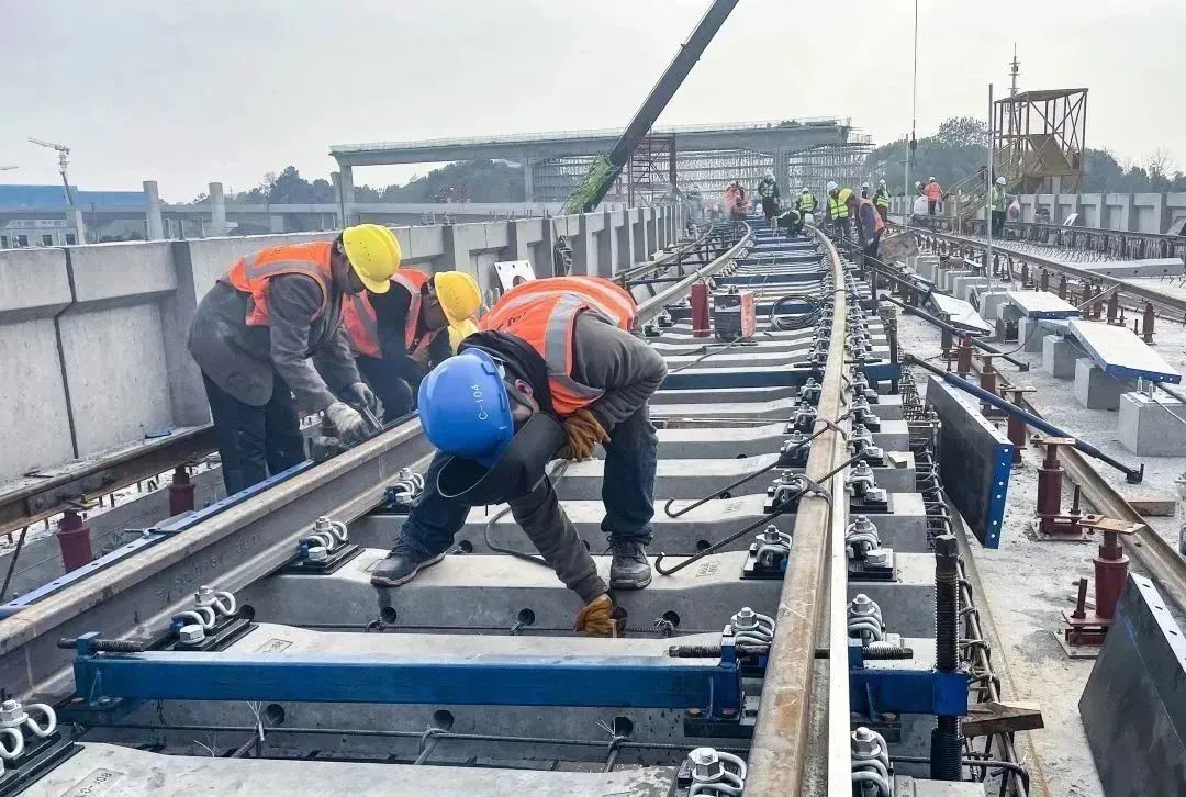 QQ图片20230129085010 拷贝.jpg 图片