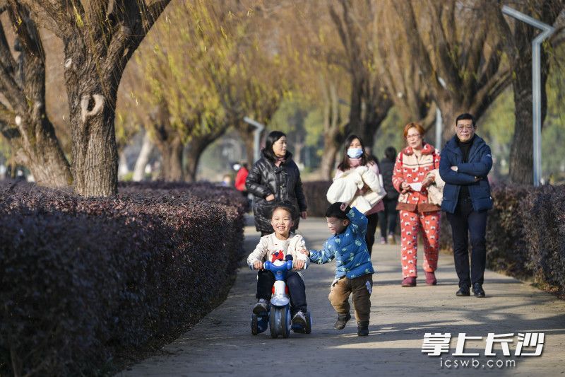 家长带着孩子们出游，尽情享受灿烂阳光。长沙晚报全媒体记者 郭雨滴 摄