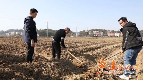 宁远：春耕备耕季 烤烟育苗忙3_副本500.jpg