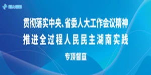 贯彻落实中央、省委人大工作会议精神 推进全过程人民民主湖南实践专项督查