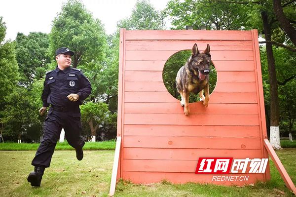 下载.jpg