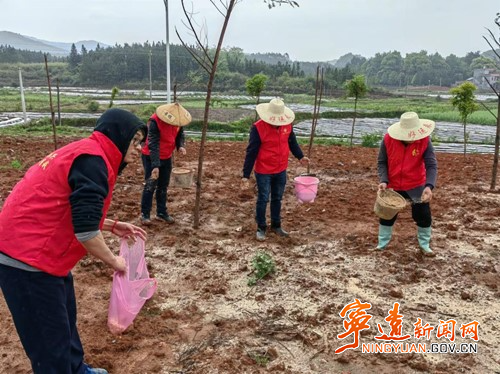 寧遠“四聯共建”抓實鄉村振興4_副本500.jpg