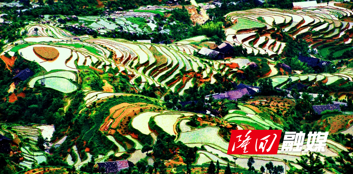 003-2_缩小大小.jpg
