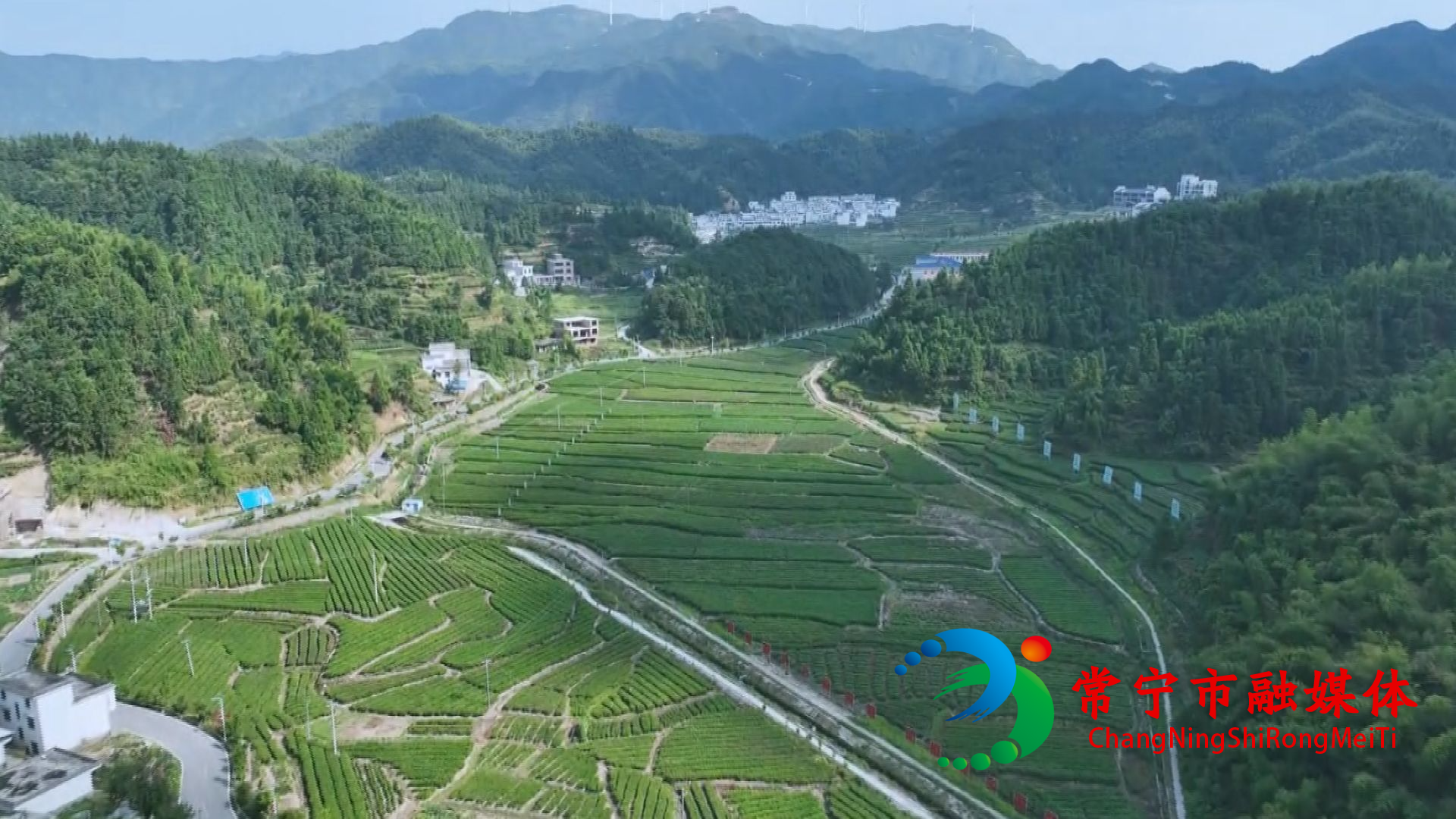 解读市委经济工作会议精神（五）  (3).jpg