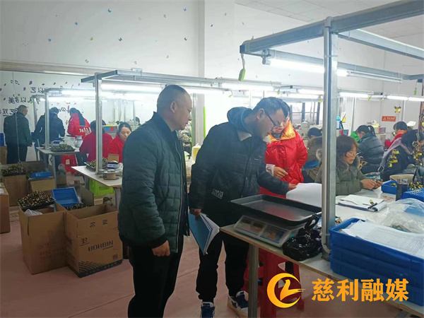 节后安全生产检查1_副本.jpg