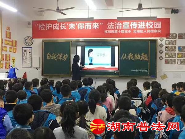 图片6_副本.png