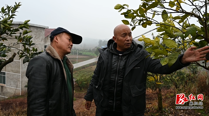 微信图片_20230209151602.png