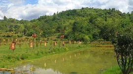 红色遗址：陈树湘馒头岭上养伤