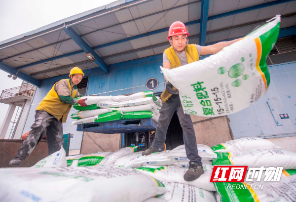 2023年2月10日，湖南省永州市道州铁路货运站，工人在装运化肥。 (9).jpg