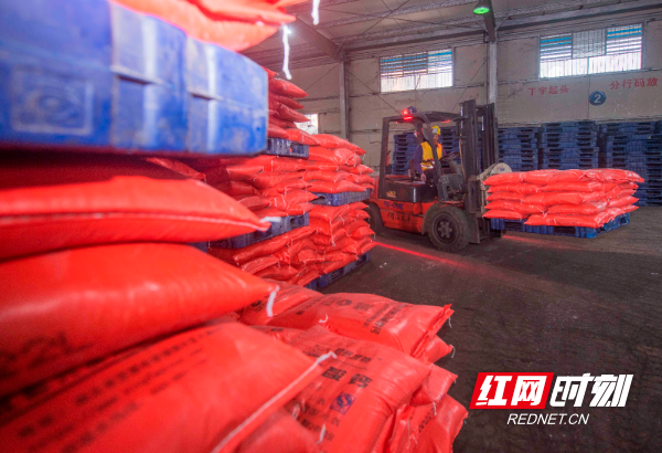 2023年2月10日，湖南省永州市道州铁路货运站，工人在装运化肥。 (13).jpg