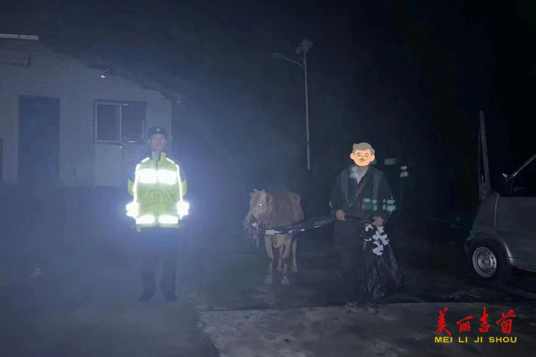 民警寻回逃跑丢失“受惊”牛犊.jpg