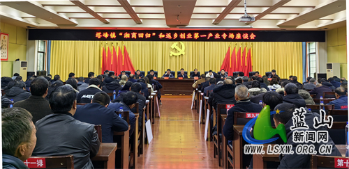 蓝山县塔峰镇召开“湘商回归”和返乡创业第一产业专场座谈会.jpg