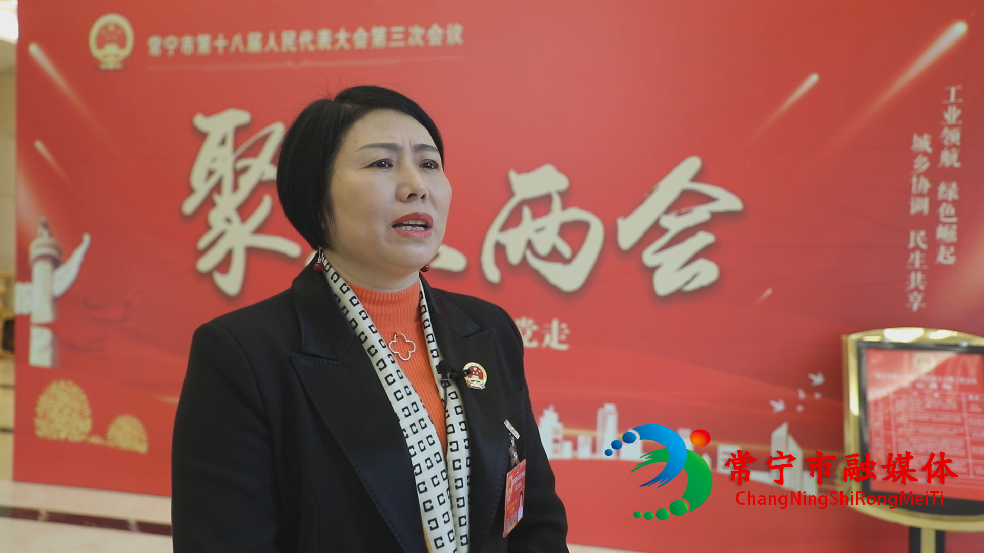 代表 刘卫菊.jpg