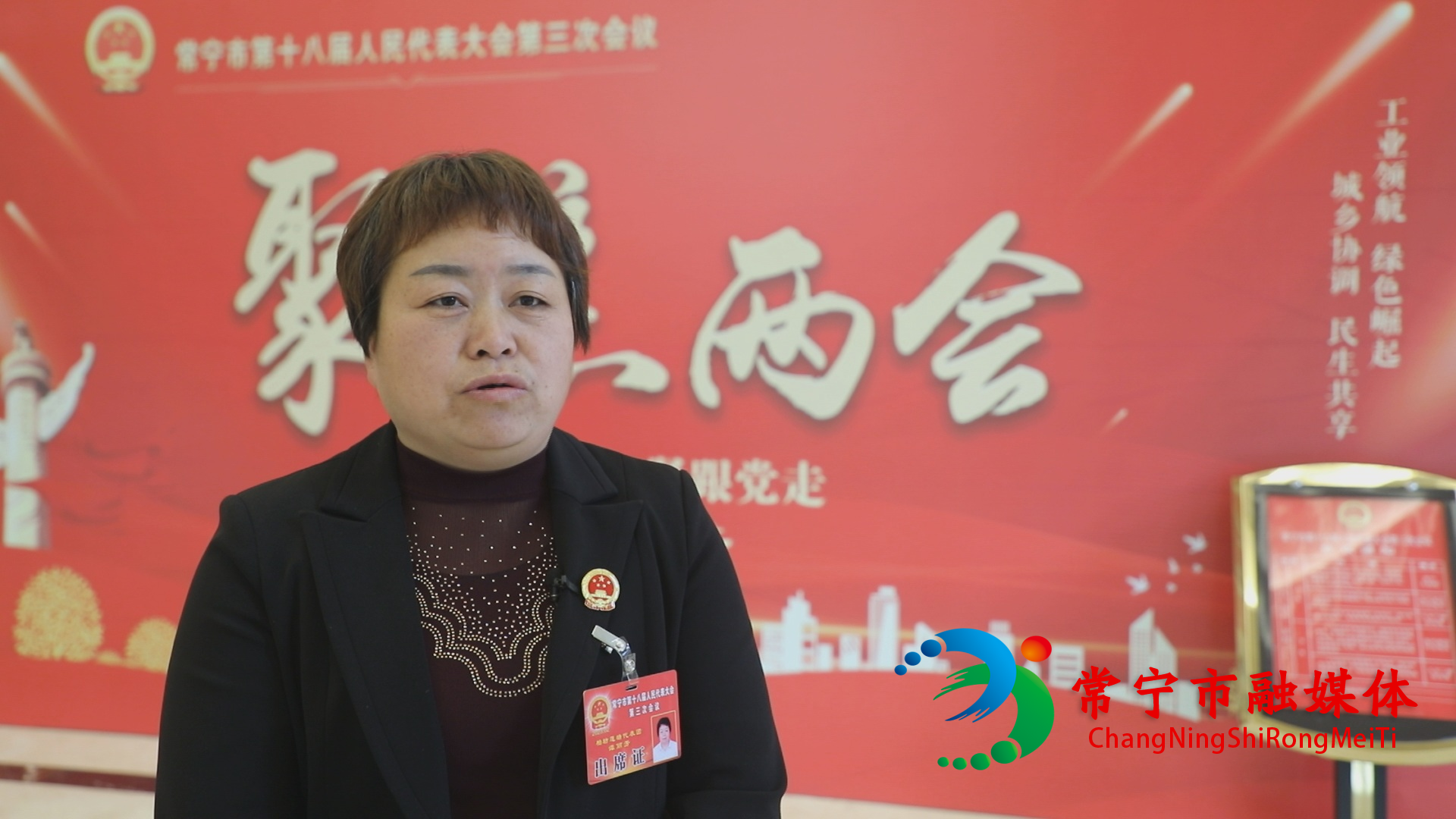 代表 谭丽芳.jpg