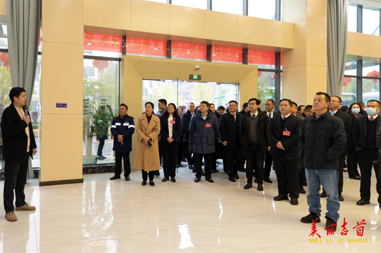 聚焦两会｜代表委员视察重点项目 汇聚发展合力3.png