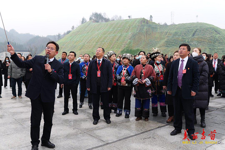 聚焦两会｜代表委员视察重点项目 汇聚发展合力1.jpg