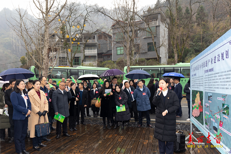 聚焦两会｜代表委员视察重点项目 汇聚发展合力4.png