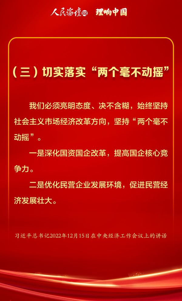 中央经济工作会议金句3(1)