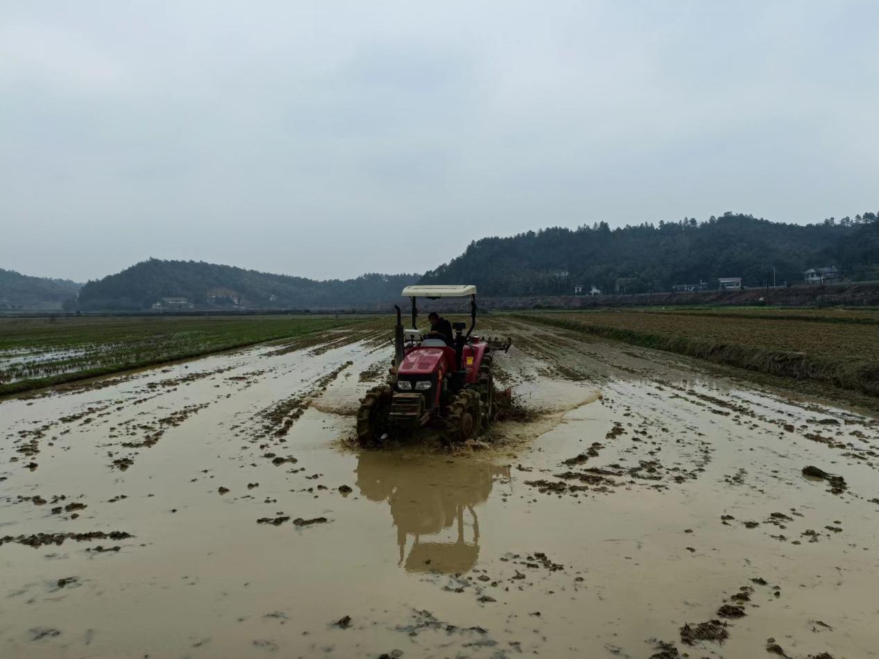 青坪村梁凤虎操作旋耕机翻耕土地.jpg