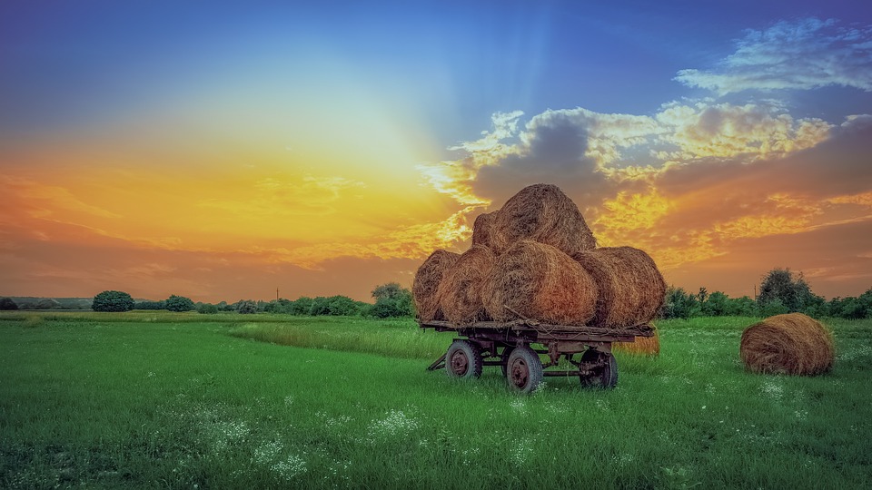 sunset-6668214_960_720.jpg sunset-6668214_960_720.jpg