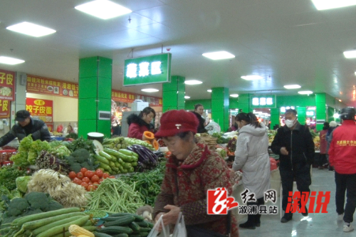 红网稿件图片.jpg