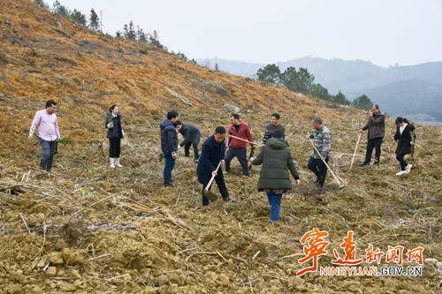 宁远：人勤春来早 湾井植树忙_副本500.jpg