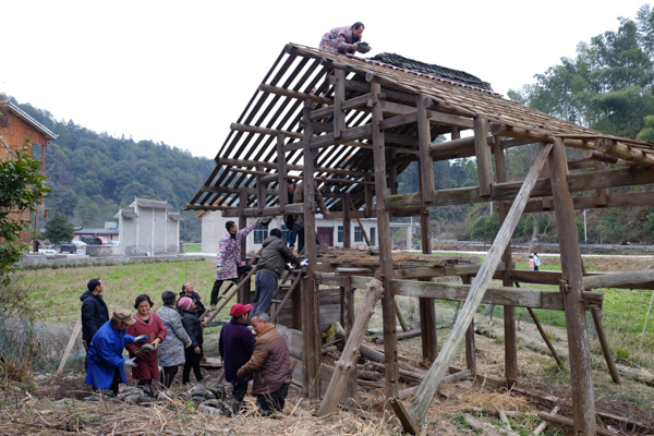 2023年2月16日，通道侗族自治县溪口镇画笔村党员干部和群众在拆除旧棚。.jpg