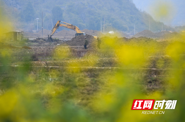 2023年2月23日，湖南省永州市道县寿雁镇芽洞村高标准农田项目现场，施工人员驾驶机械在平整田块。 (1).jpg